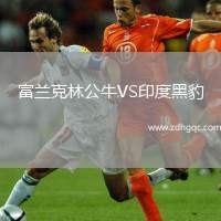 富蘭克林公牛VS印度黑豹