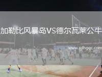 加勒比風暴島VS德爾瓦萊公牛