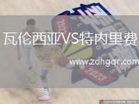 瓦倫西亞VS特內里費
