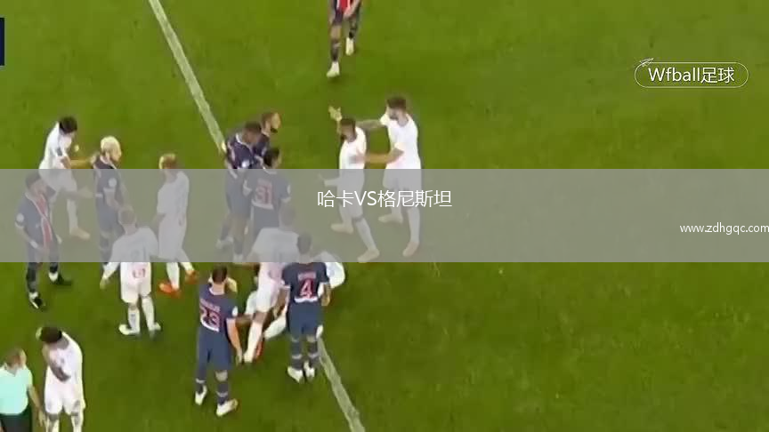 哈卡VS格尼斯坦
