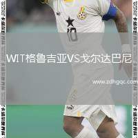 WIT格魯吉亞VS戈?duì)栠_(dá)巴尼