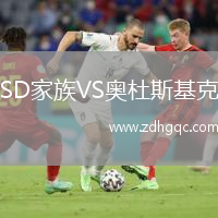 SD家族VS奧杜斯基克