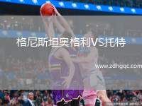 格尼斯坦奧格利VS托特