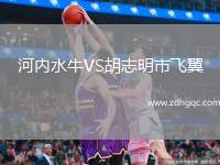 河內(nèi)水牛VS胡志明市飛翼