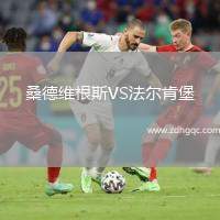 桑德維根斯VS法爾肯堡