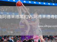南阿德萊德黑豹VS阿德萊德毒蛇