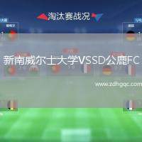 新南威爾士大學(xué)VSSD公鹿FC