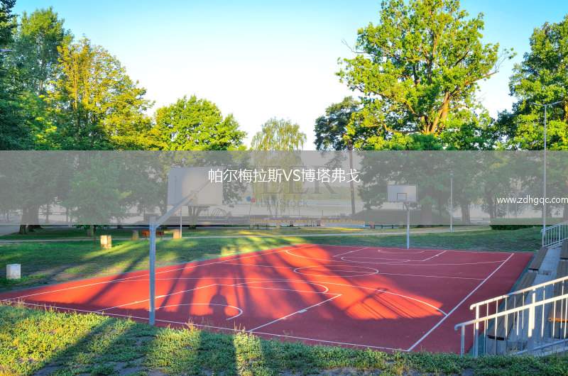 帕爾梅拉斯VS博塔弗戈