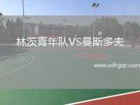 林茨青年隊(duì)VS曼斯多夫