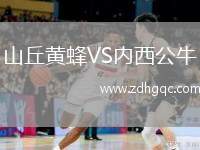 山丘黃蜂VS內(nèi)西公牛