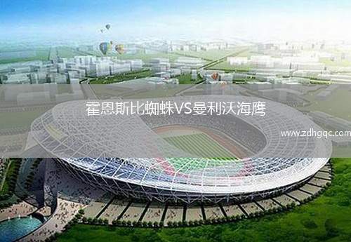 霍恩斯比蜘蛛VS曼利沃海鷹