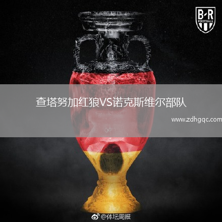查塔努加紅狼VS諾克斯維爾部隊