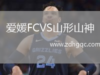 愛媛FCVS山形山神