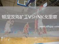 頓涅茨克礦工VSHNK戈里察
