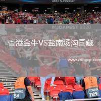 香港金牛VS鹽南湯溝國藏
