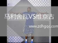 馬利舍瓦VS維京古