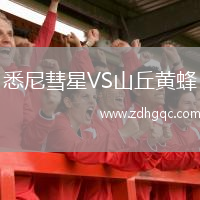 悉尼彗星VS山丘黃蜂