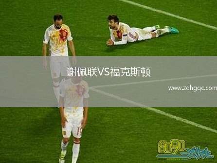 謝佩聯(lián)VS?？怂诡D