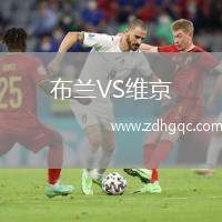 布蘭VS維京