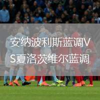 安納波利斯藍(lán)調(diào)VS夏洛茨維爾藍(lán)調(diào)