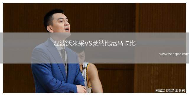 涅波沃米采VS萊納比尼馬卡比