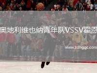 奧地利維也納青年隊(duì)VSSV霍恩