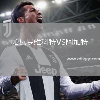 帕瓦羅維科特VS阿加特