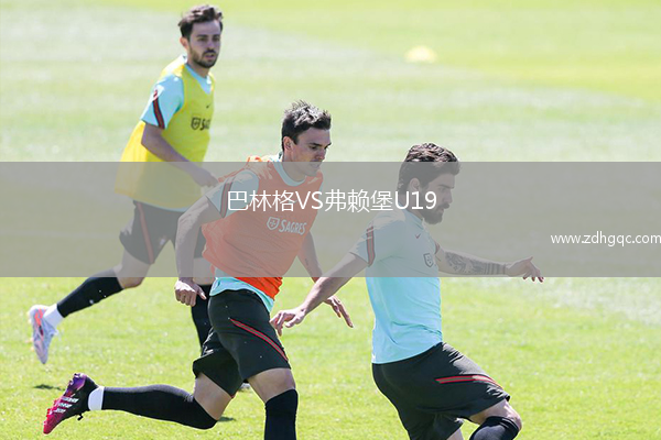 巴林格VS弗賴堡U19