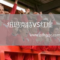紐瑪克特VS紅崖
