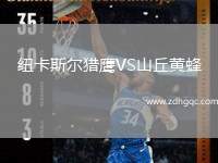 紐卡斯?fàn)柅C鷹VS山丘黃蜂