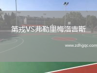 第戎VS弗勒里梅洛吉斯