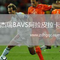 杰瑞B(yǎng)AVS阿拉皮拉卡