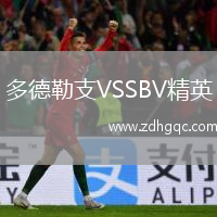 多德勒支VSSBV精英