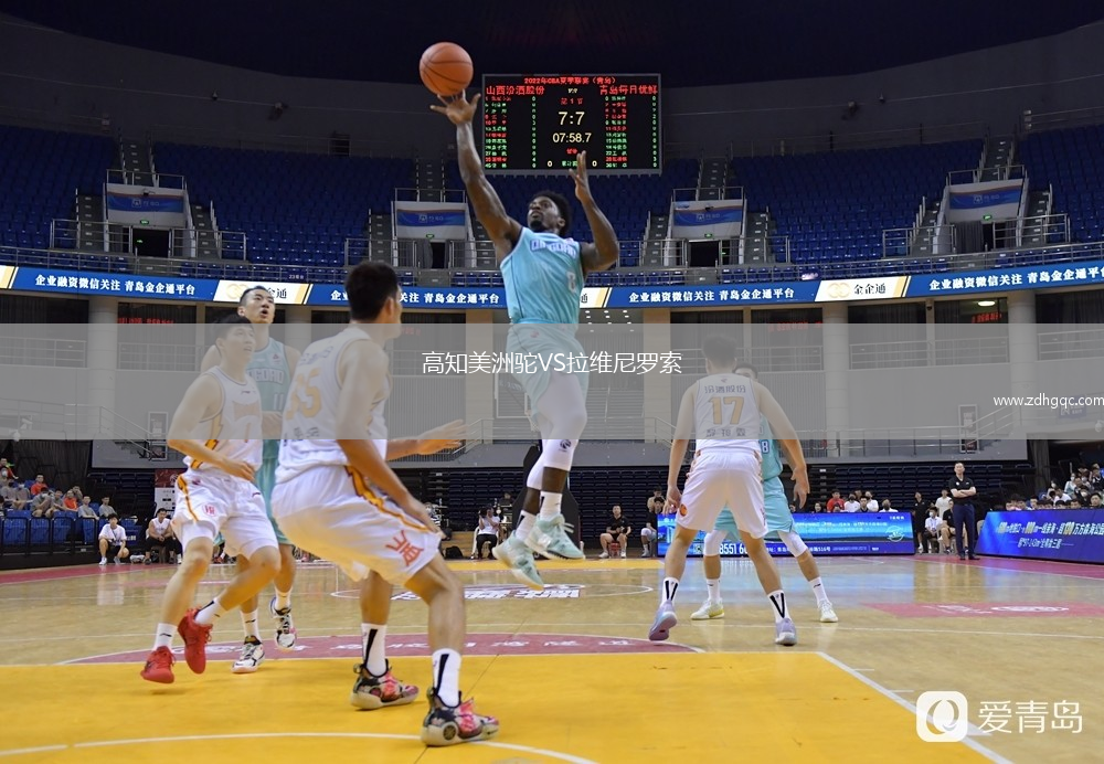高知美洲駝VS拉維尼羅索