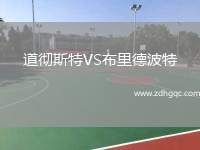 道徹斯特VS布里德波特