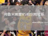 弗魯米嫩塞VS帕爾梅拉斯