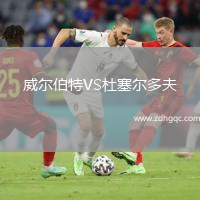 威爾伯特VS杜塞爾多夫