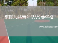 斯圖加特青年隊(duì)VS費(fèi)堡格