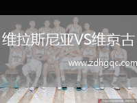 維拉斯尼亞VS維京古
