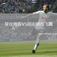 芽莊海豚VS胡志明市飛翼