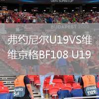 弗約尼爾U19VS維京格BF108 U19