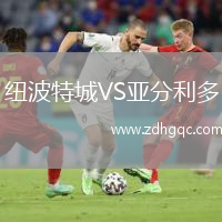 紐波特城VS亞分利多