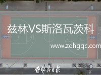 茲林VS斯洛瓦茨科