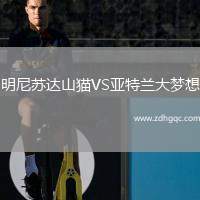明尼蘇達(dá)山貓VS亞特蘭大夢(mèng)想