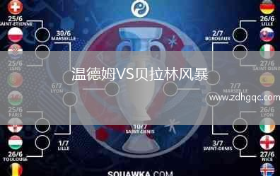 溫德姆VS貝拉林風(fēng)暴