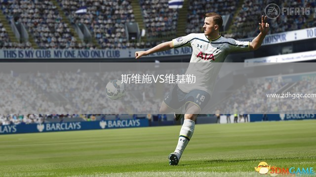 斯維施VS維基勒