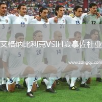 艾格納比利克VSIH夏拿佐杜亞