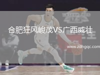 合肥狂風(fēng)峻茂VS廣西威壯