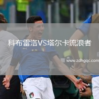 科布雷洛VS塔爾卡流浪者