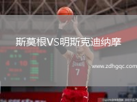 斯莫根VS明斯克迪納摩